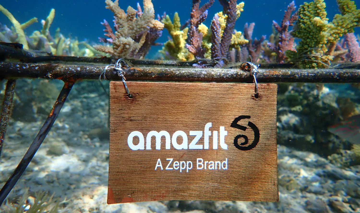 aboutus-imagewithtext4 - Amazfit South Africa